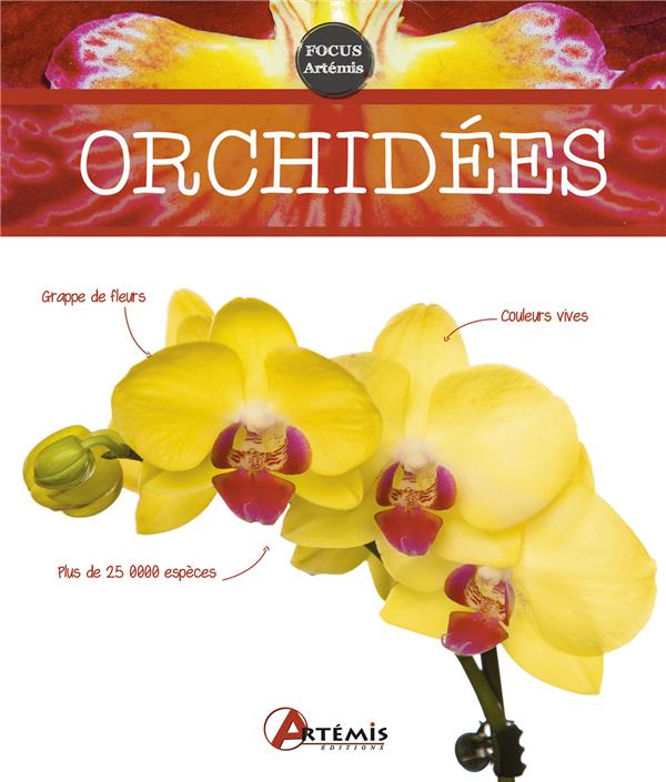 Orchidées