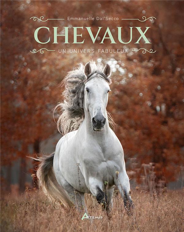 Chevaux. Un univers fabuleux