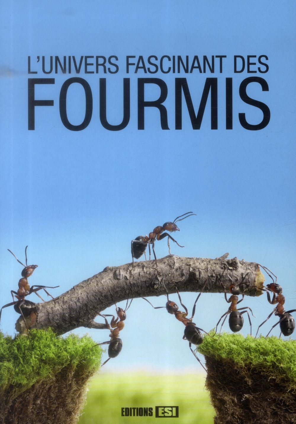 L'univers fascinant des fourmis