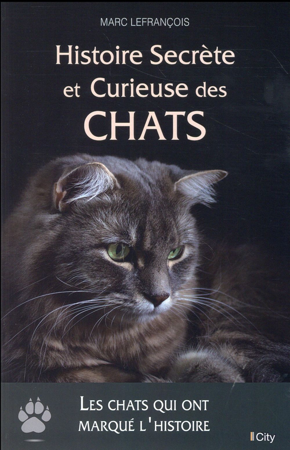 Histoire secrète et curieuse des chats
