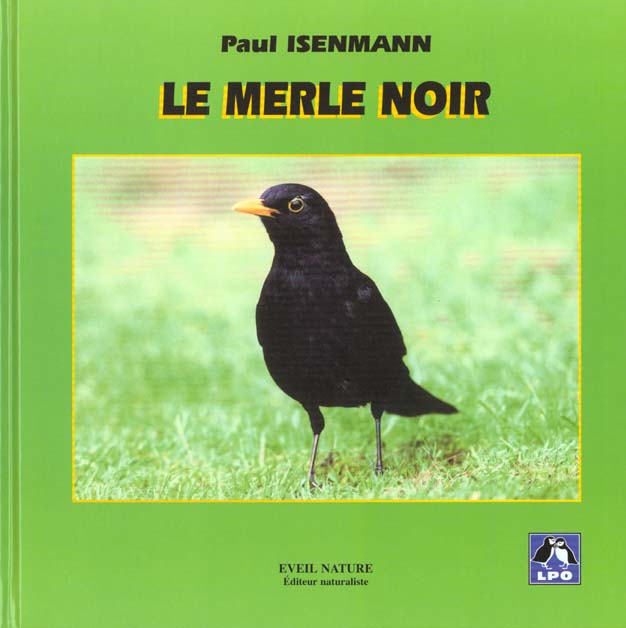 Le merle noir