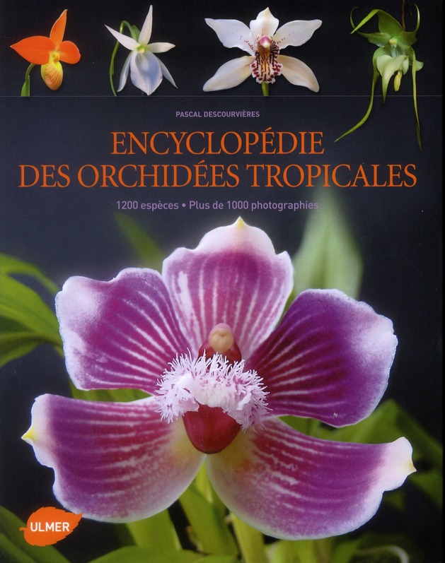 Encyclopédie des orchidées tropicales. 1200 espèces, plus de 1000 photographies