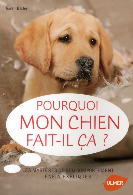 Pourquoi mon chien fait-il ça ? Les mystères de son comportement enfin expliqués
