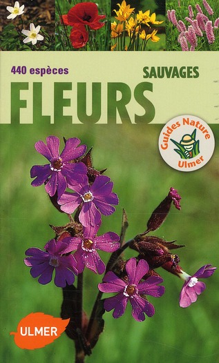 Fleurs sauvages