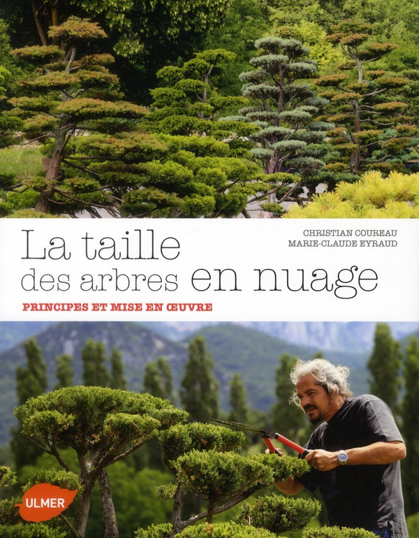 La taille des arbres en nuage. Principes et mise