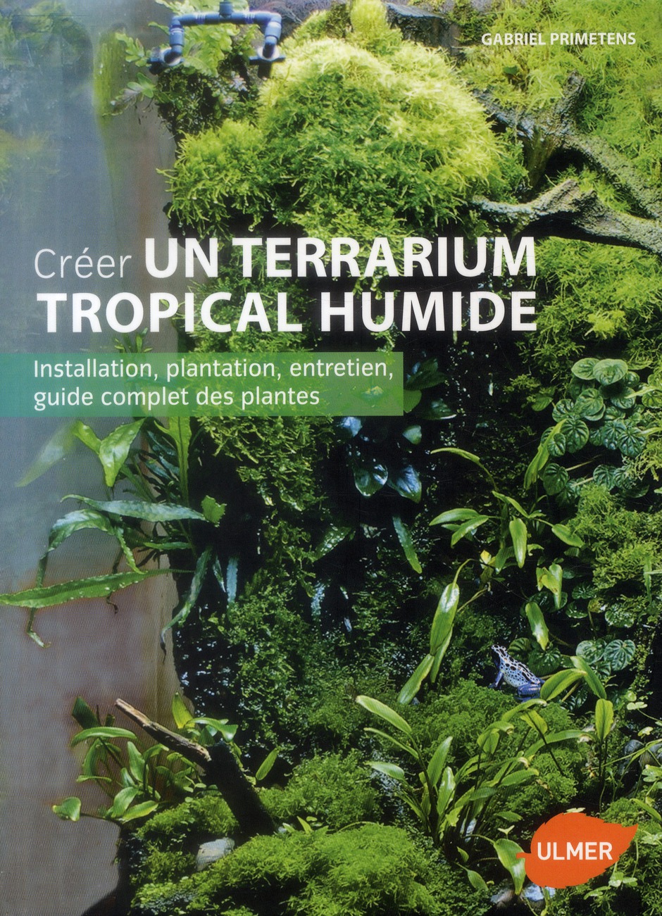 Créer un terrarium tropical humide. Installation, plantation, entretien, guide complet des plantes