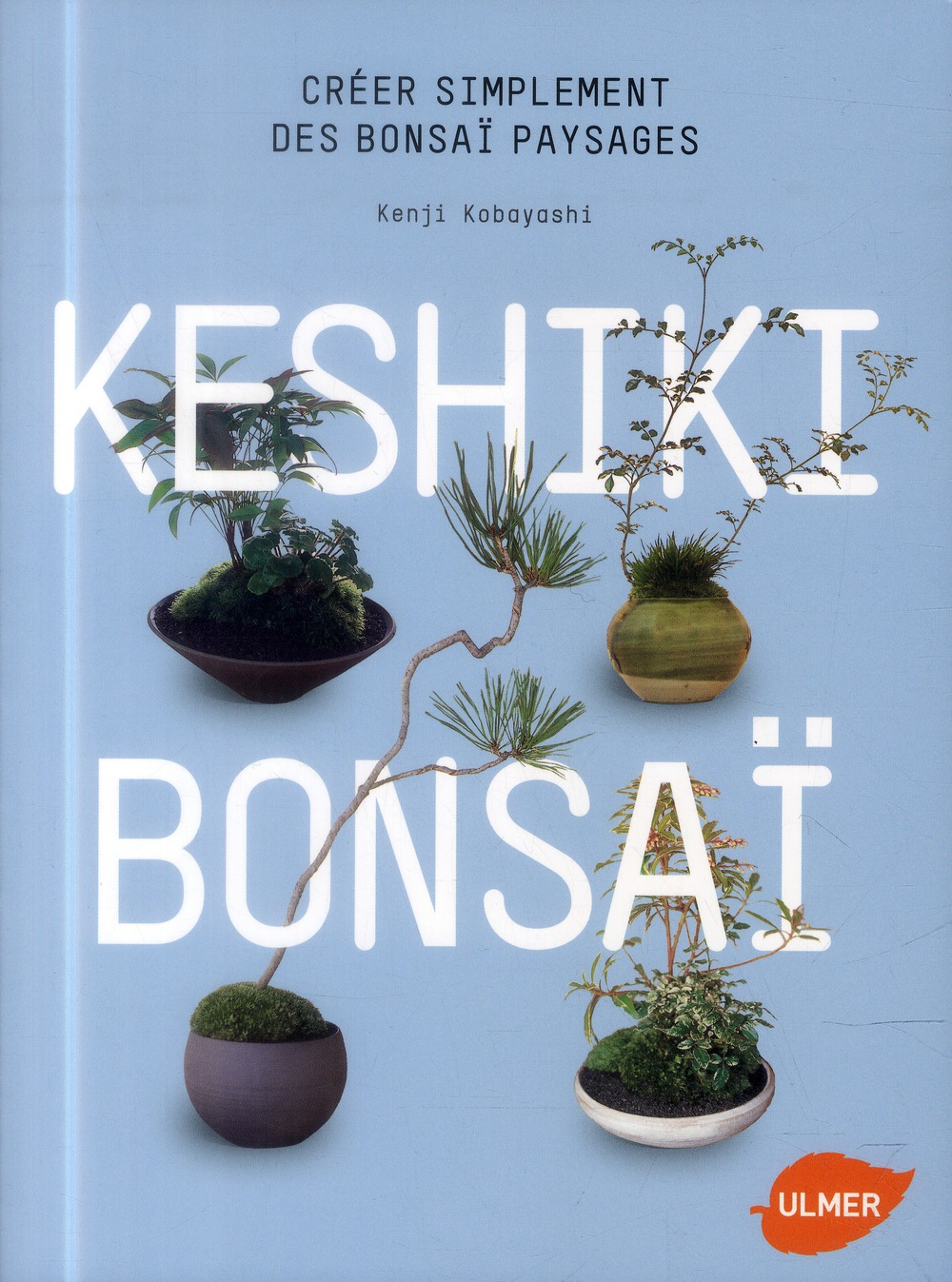 Keshiki bonsaï. Créer simplement des bonsaï paysages