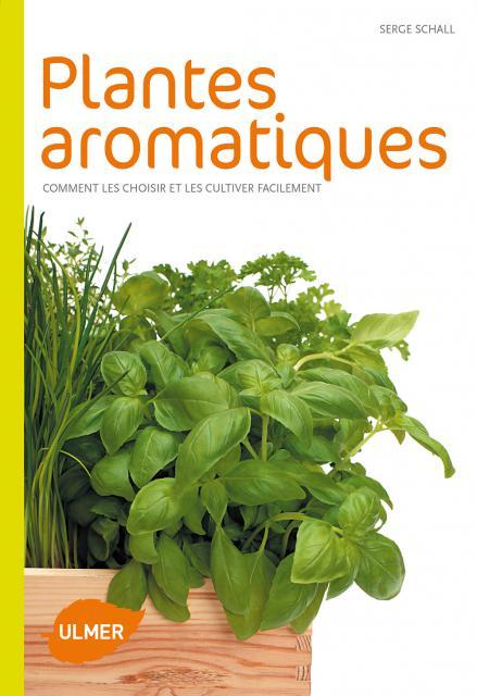 Plantes aromatiques. Comment les choisir et les cultiver facilement