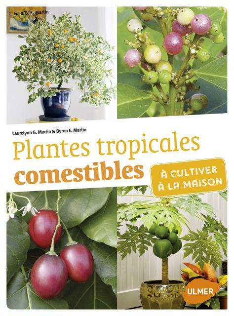 Plantes tropicales comestibles à cultiver à la maison