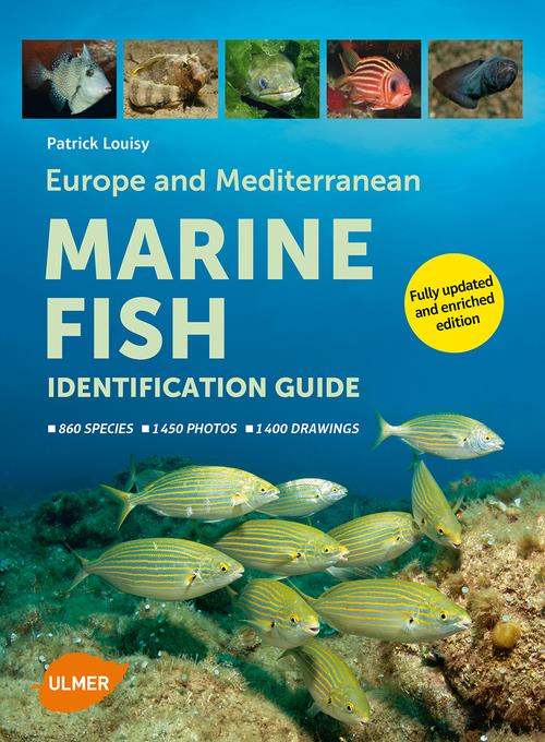 MARINE FISH - IDENTIFICATION GUIDE