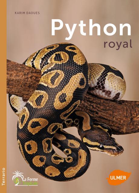 Python royal