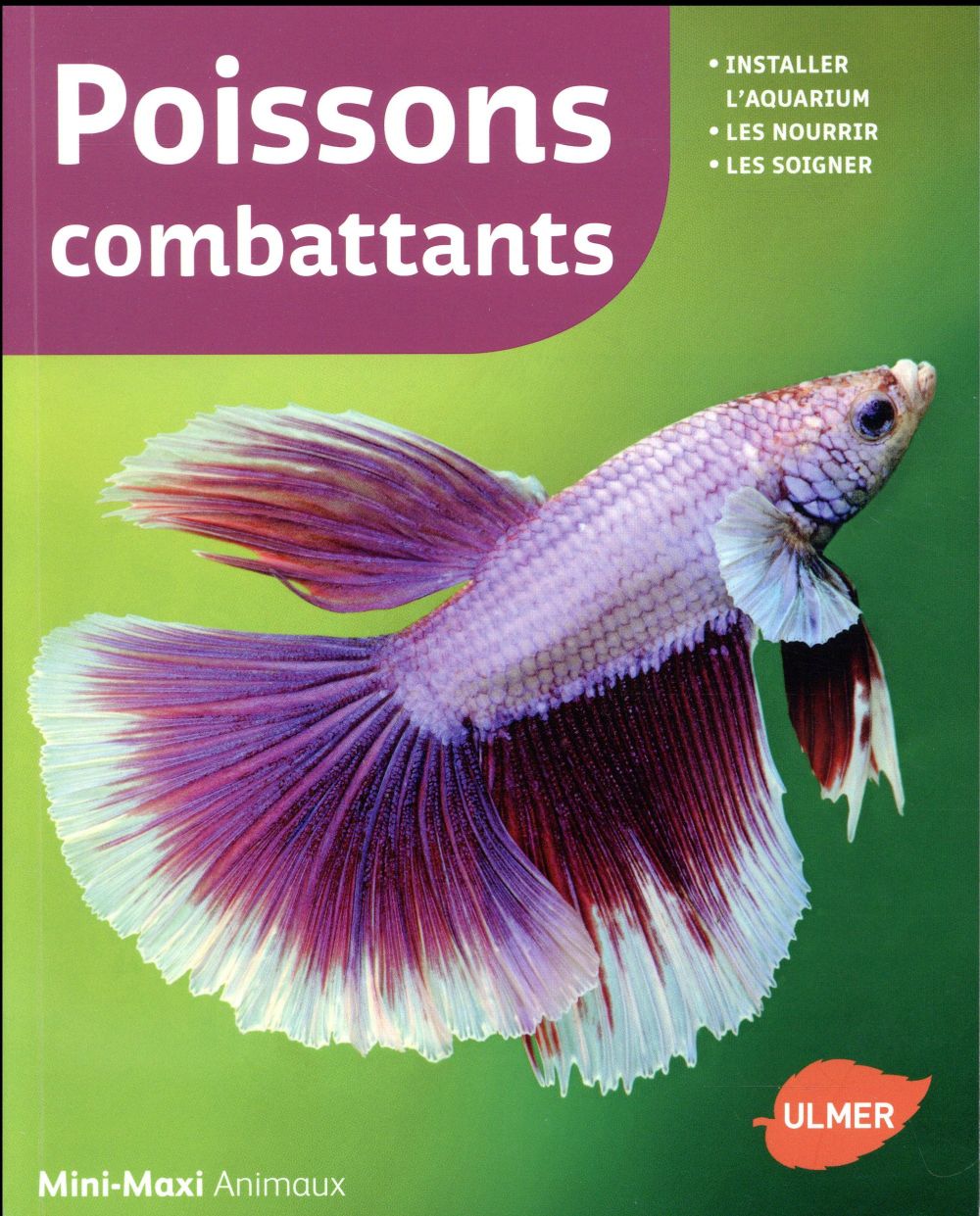 Poissons combattants