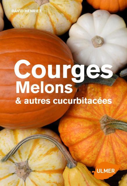 Courges, melons, concombres, etc. Les cucurbitacées & comment les cultiver