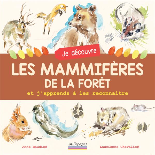 Je découvre les mammifères de la forêt et j'apprends à les reconnaître