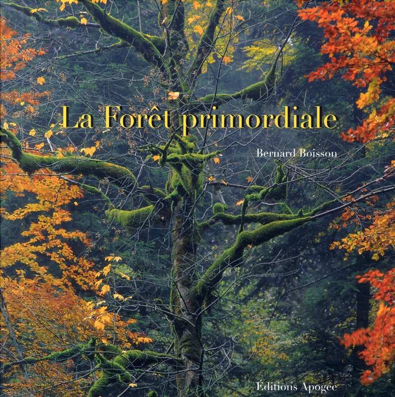 La Forêt primordiale