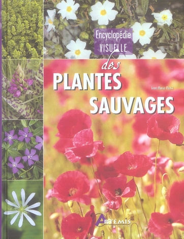 Encyclopédie visuelle des plantes sauvages