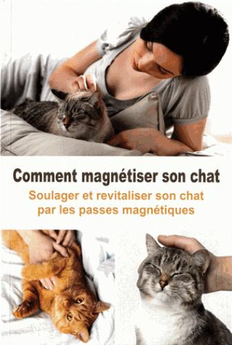 Comment magnétiser son chat. Soulager et revitaliser son chat par les passes magnétiques