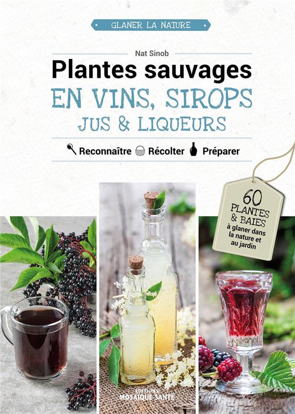 Plantes sauvages en vins, sirops, jus & liqueurs. Reconnaître, récolter, préparer