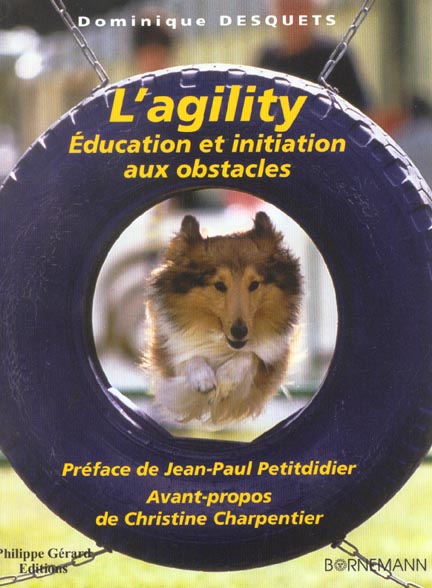 L'agility. Education et initiation aux obstacles