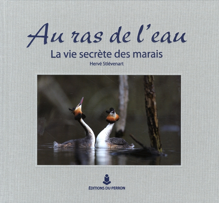 Au ras de l'eau. La vie secrète des marais