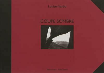 Coupe sombre. Un journal traversé