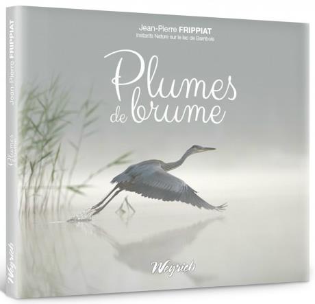 Plumes de brume - instants nature sur le lac de bambois