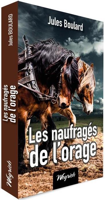 Les naufragés de l'orage