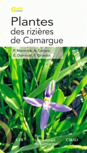 Plantes des rizières de Camargue