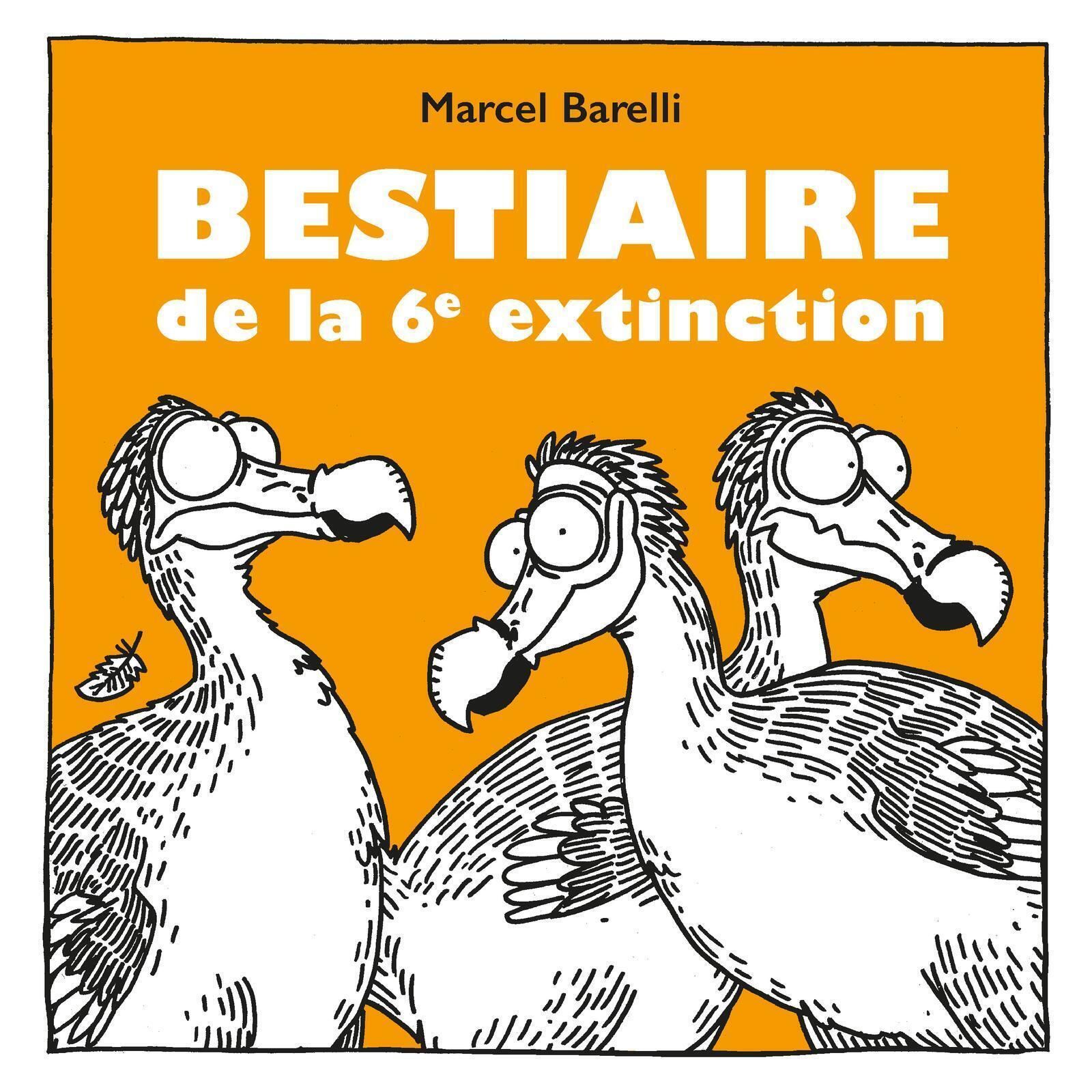 BESTIAIRE DE LA 6EME EXTINCTIO