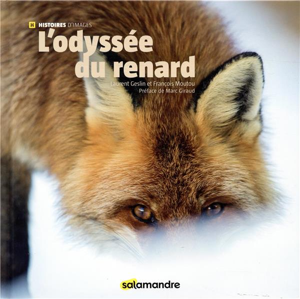 L'odyssée du renard