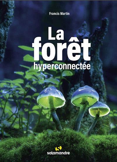 La forêt hyperconnectée