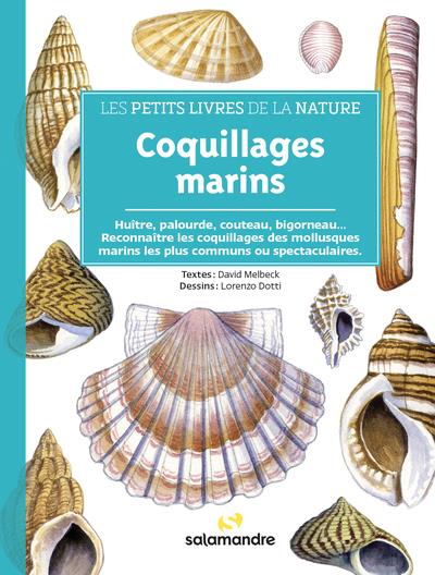 Coquillages marins