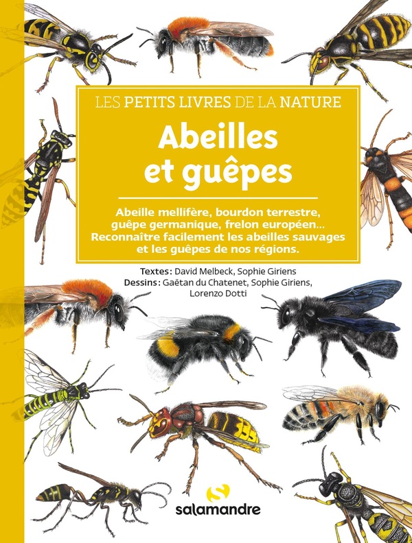 Abeilles et guêpes