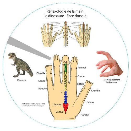 Réflexologie de la main