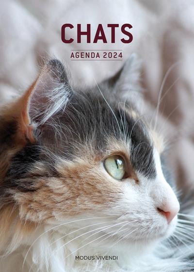 Agenda Chats. Edition 2024