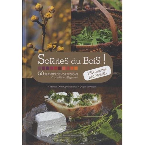 Sorties du bois ! 50 plantes de nos régions à cueillir et déguster !