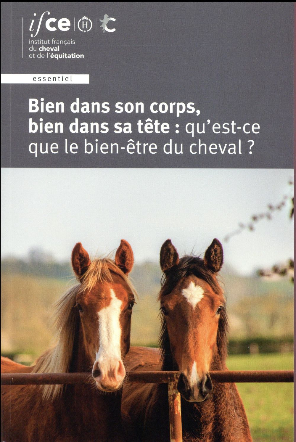 Bien dans son corps, bien dans sa tête : qu'est-ce que le bien-être du cheval ?