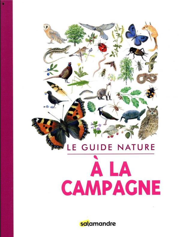 Le guide nature à la campagne