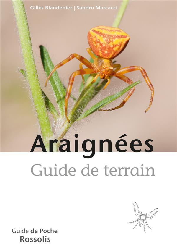 Araignées Guide de terrain