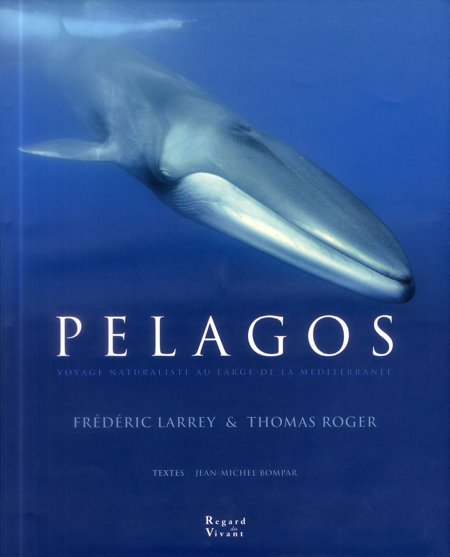 Pelagos - voyage naturaliste au large de la méditerannée