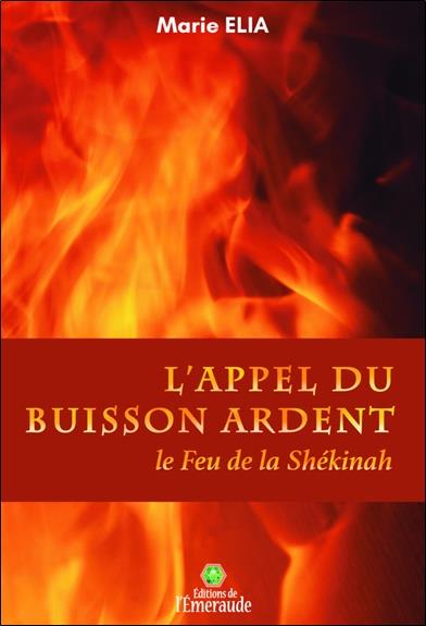L'appel du buisson ardent. Le feu de la Shékinah