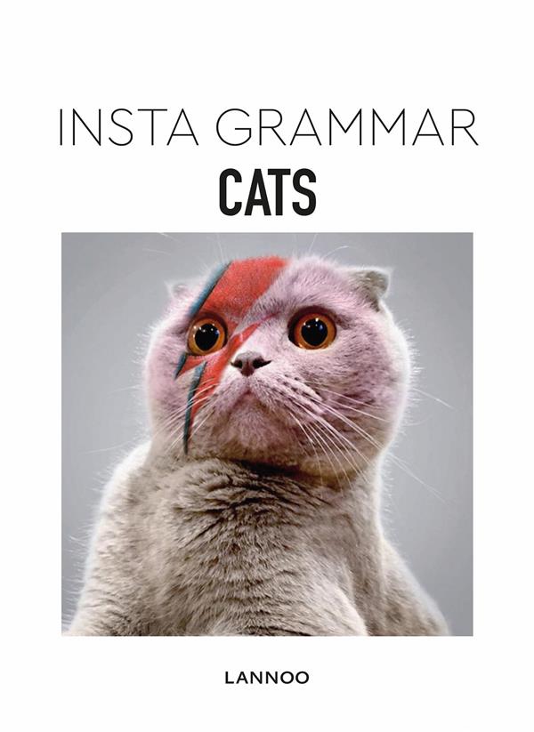 INSTA GRAMMAR - CATS