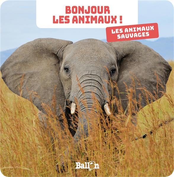 Les animaux sauvages