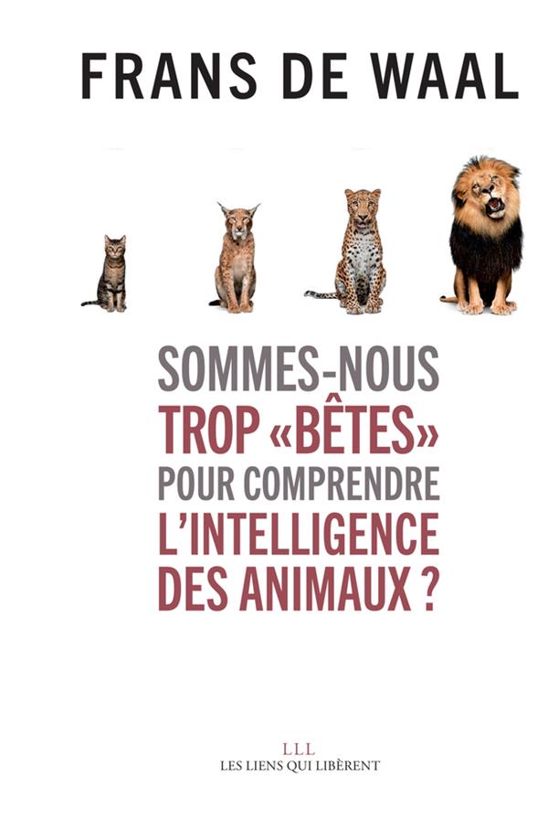 Sommes-nous trop "bêtes" pour comprendre l'intelligence des animaux ?