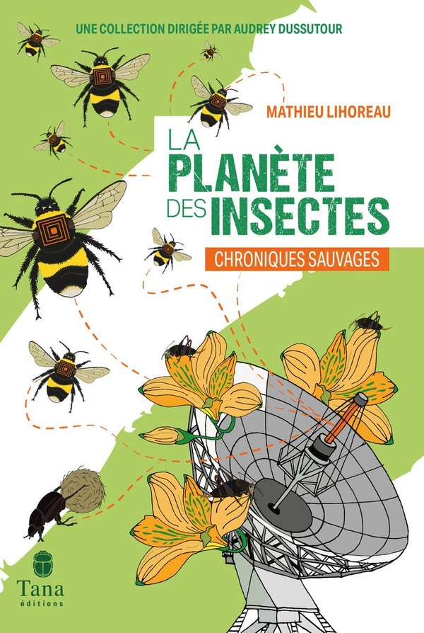 La planète des insectes