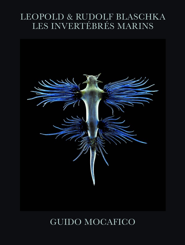 Leopold & Rudolf Blaschka. Les invértébrés marins, Edition numérotée