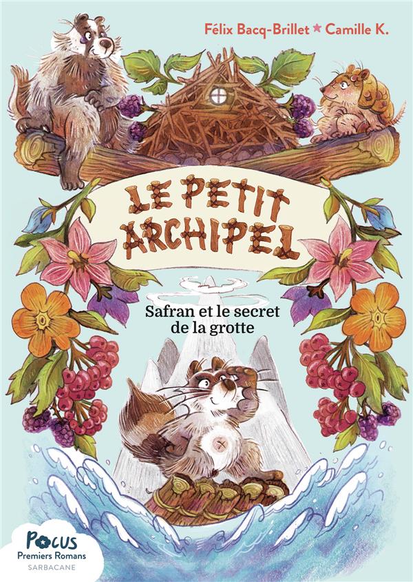 Le petit archipel : Safran et le secret de la grotte