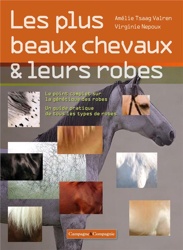 Beauté des chevaux, le mystère de leurs robes