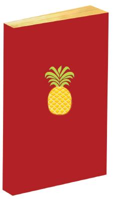 Carnet ananas brodé