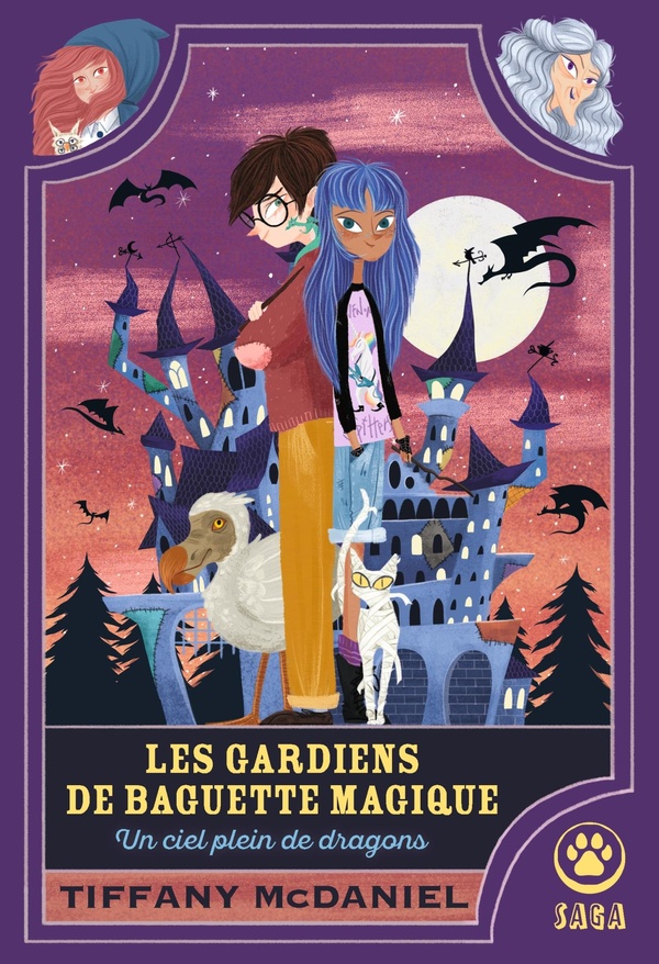 Les Gardiens de baguette magique Tome 1 : Un ciel plein de dragons